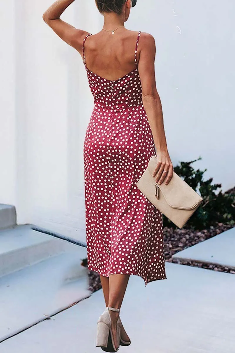 Dunnmall Print Floral Dot V Neck Dress